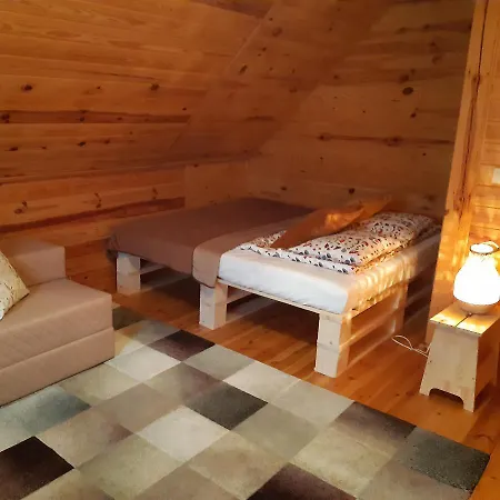 Twoje Gasiorowo - Dom Pod Brzozami Feriehus *