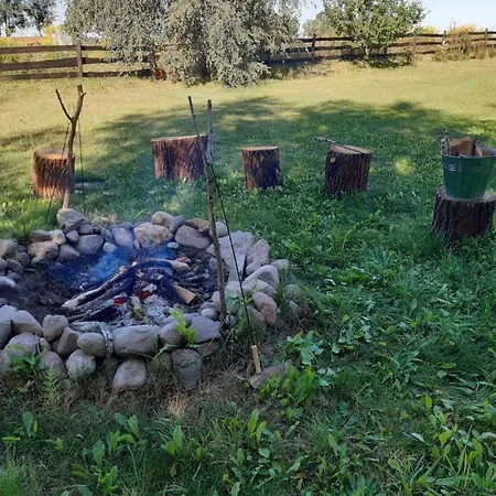 Twoje Gasiorowo - Dom Pod Brzozami Feriehus *