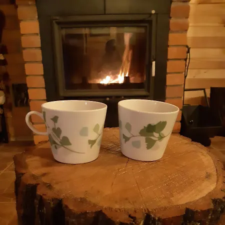 Twoje Gasiorowo - Dom Pod Brzozami Feriehus